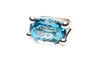 Ring R110