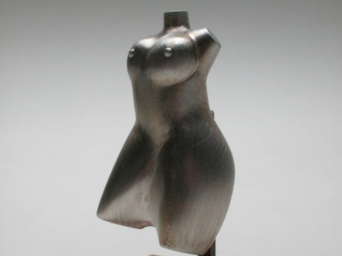 Small TORSO
